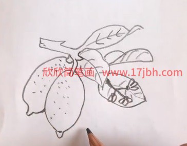 柠檬简笔画图片带颜色
