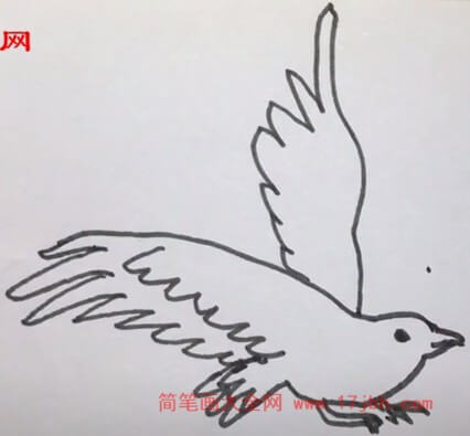 鸟的简笔画怎么画