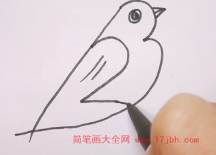 123画小鸟的简笔画
