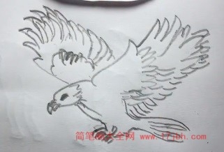 金雕简笔画步骤