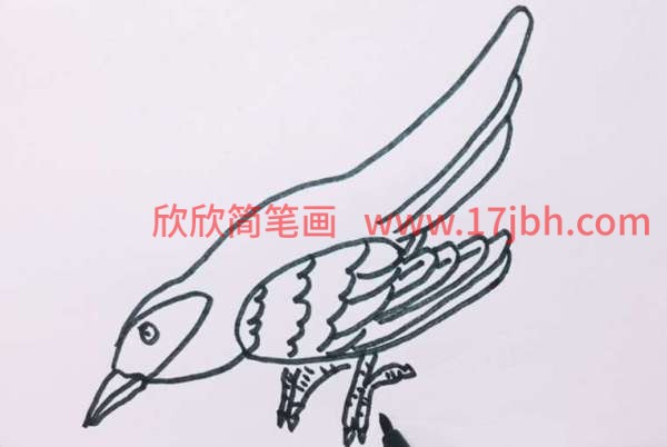 绿色杜鹃鸟简笔画