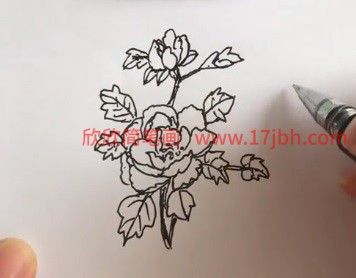 芍药简笔画