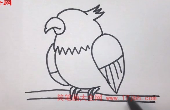 鸟类简笔画图片