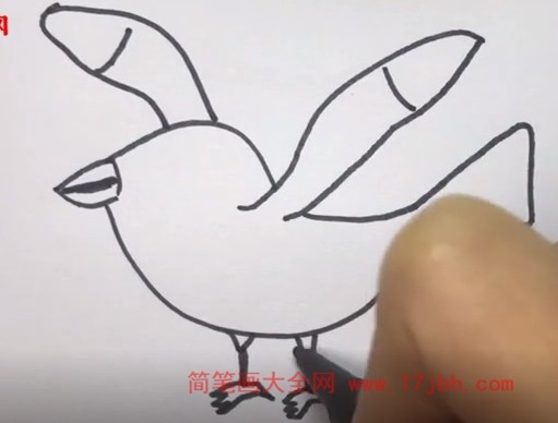 海鸥简笔画图片颜色