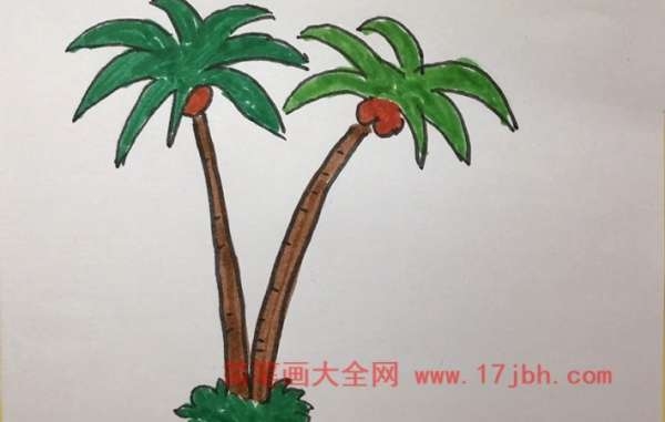椰子树的简笔画图片