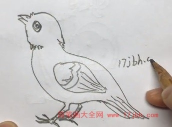 简笔画鸟的画法最简单