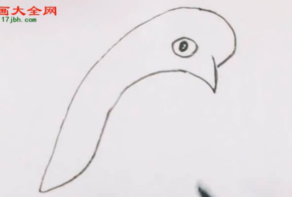 儿童企鹅简笔画