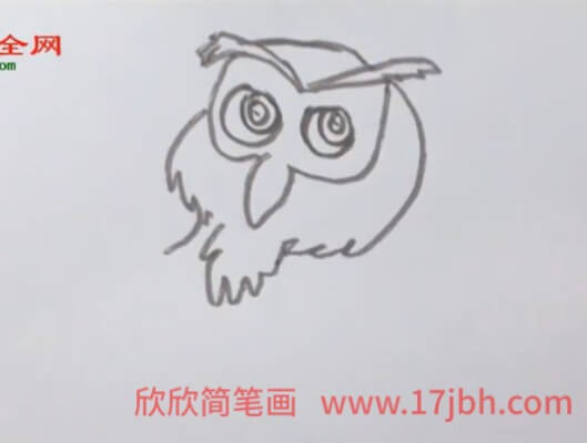 儿童猫头鹰简笔画