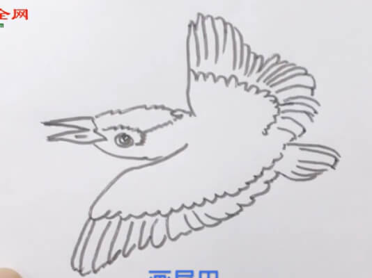 翠鸟儿童简笔画