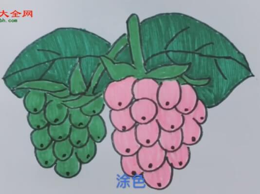 葡萄简笔画大全