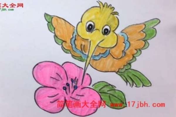 蜂鸟简笔画图片大全