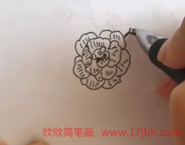 芙蓉花简笔画