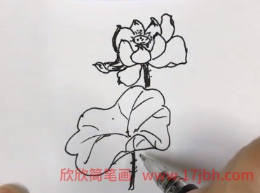 简笔画荷花