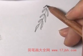 会飞的小鸟简笔画