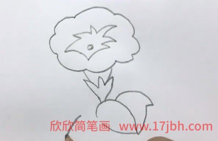 牵牛花简笔画带颜色