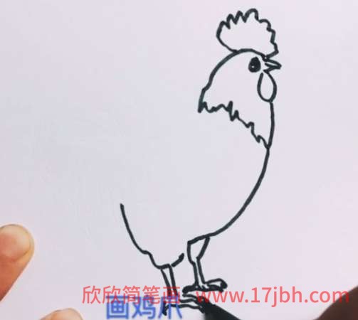 公鸡的简笔画图片