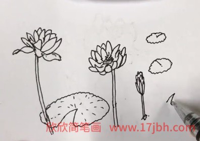 开满荷花的小池塘简笔画