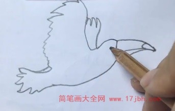 犀鸟简笔画步骤