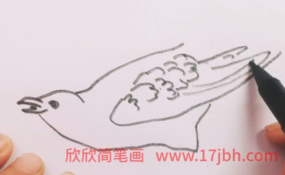 杜鹃鸟 简笔画