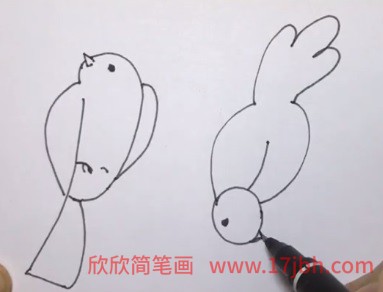 两只小鸟简笔画