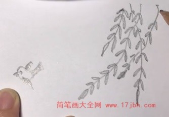 会飞的小鸟简笔画