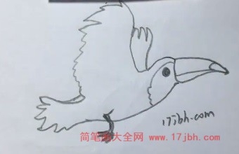 犀鸟简笔画步骤