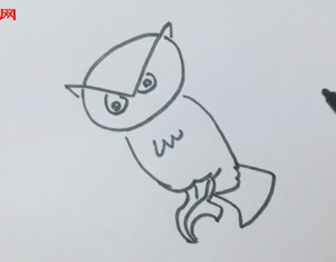 猫头鹰简笔画涂色