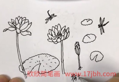 开满荷花的小池塘简笔画