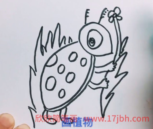 七星瓢虫简笔画带颜色