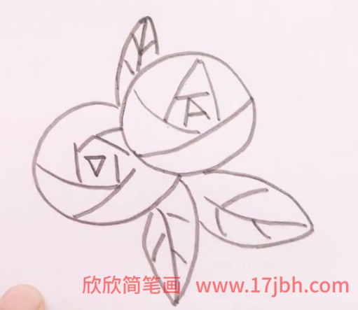 玫瑰花画法简笔画