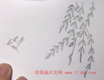 会飞的小鸟简笔画