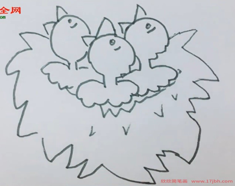 鸟窝图片简笔画