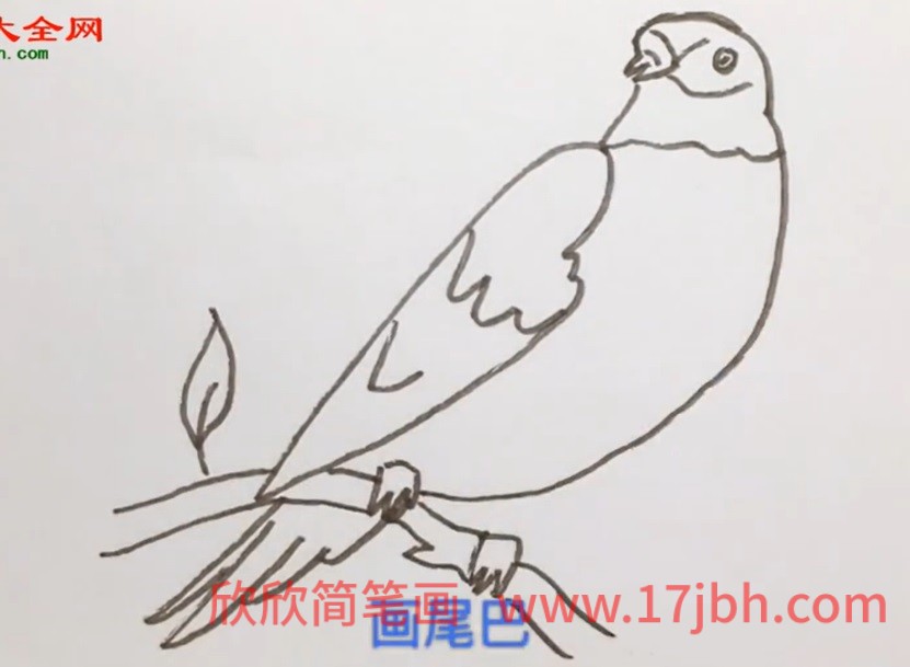 怎么画小鸟简笔画步骤