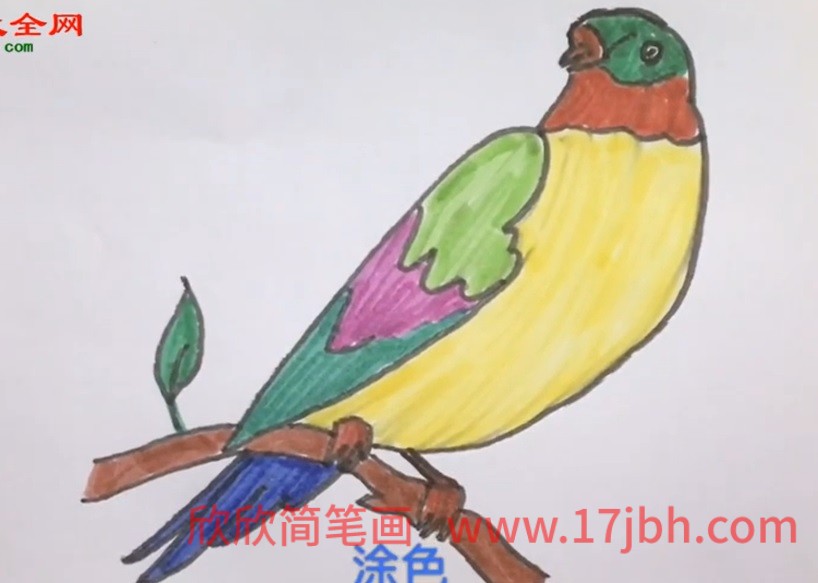 小鸟简笔画