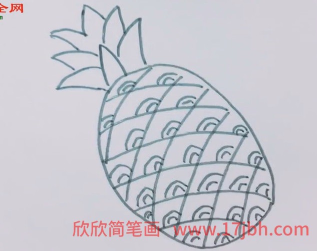 菠萝简笔画彩色