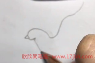 手绘鸽子简笔画