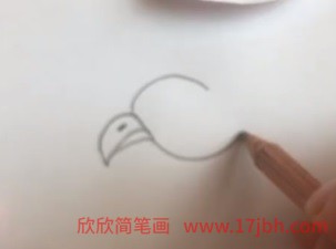 动物简笔画大全