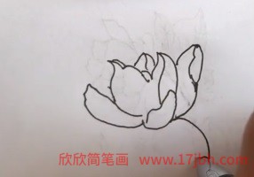 栀子花简笔画图片