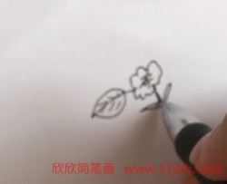 梨花简笔画步骤