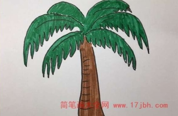 简笔画椰子树图片大全