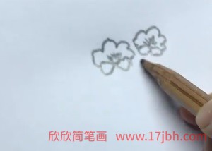 君子兰怎么画简笔画