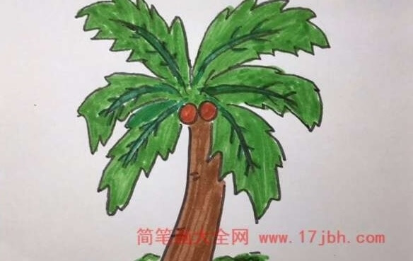 简笔画椰子树图片大全
