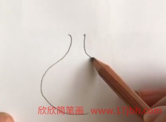 洋葱怎么画简笔画图片