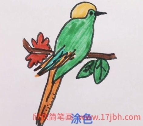 杜鹃鸟简笔画图片大全