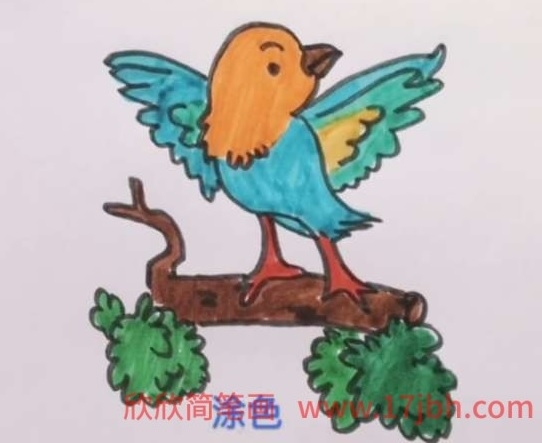 杜鹃鸟简笔画图片