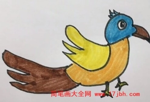 杜鹃鸟简笔画图片彩色