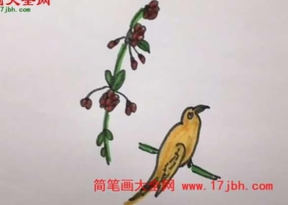 杜鹃鸟简笔画大全