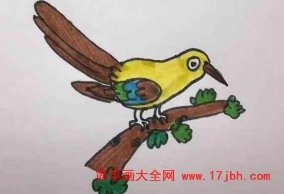 杜鹃鸟简笔画图片大全