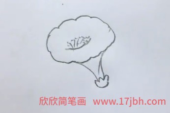 牵牛花藤蔓简笔画