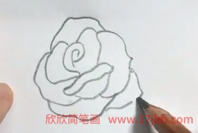 月季花简笔画彩色